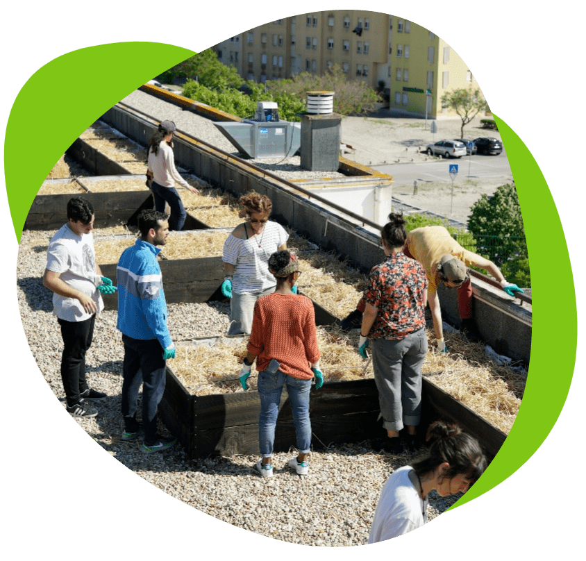 Food wave ambassadors