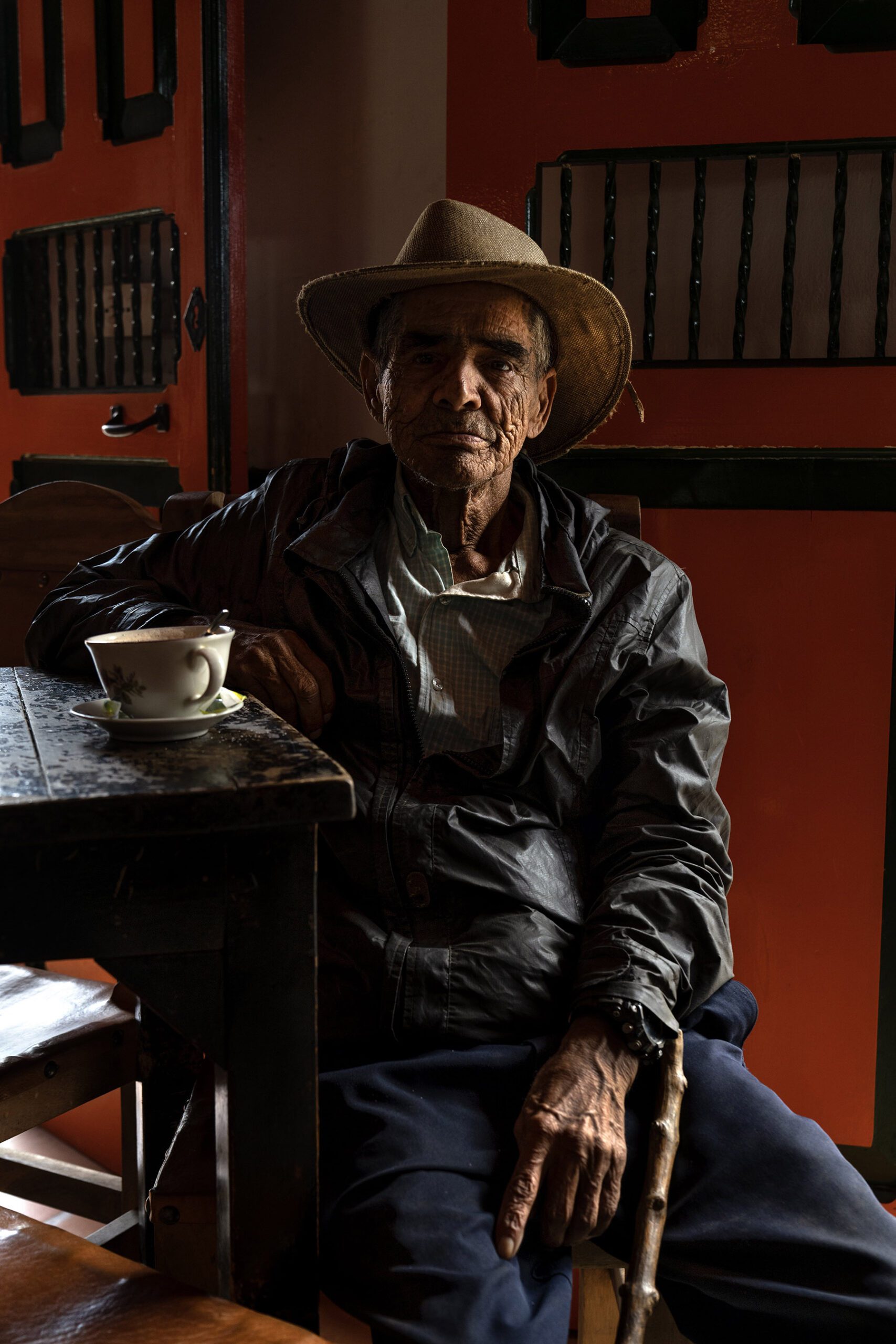 Avocado production in Colombia